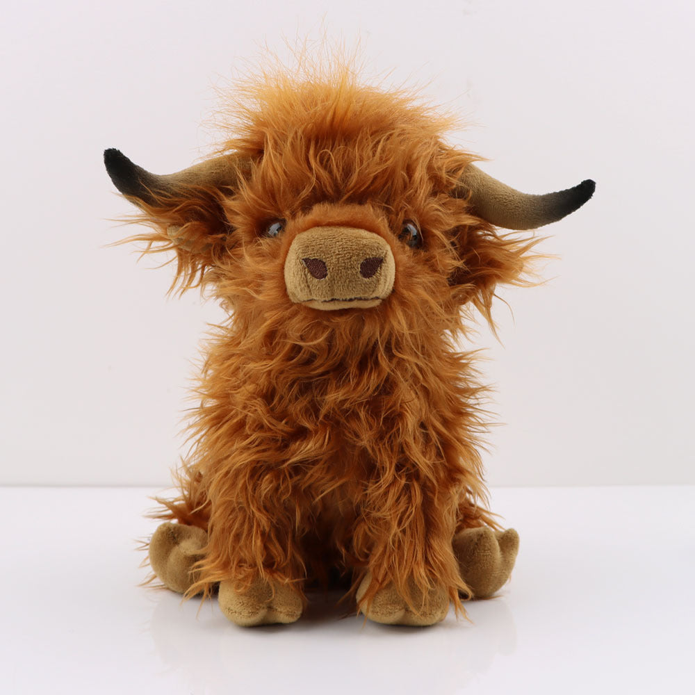 Heidi The Highland Cow