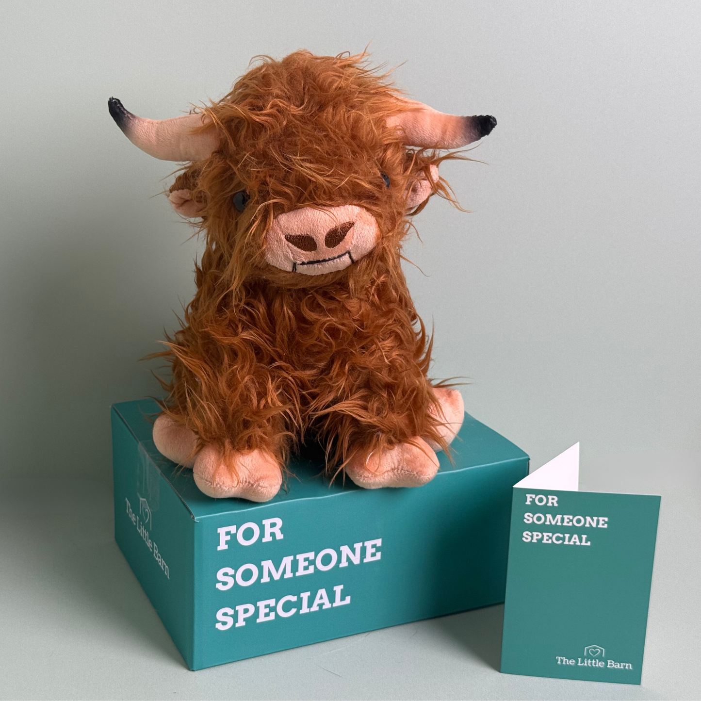 Heidi The Highland Cow