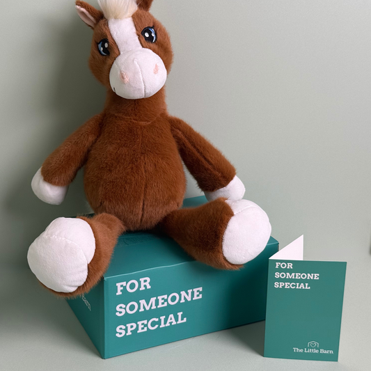 Rusty The Free Wandering Horse