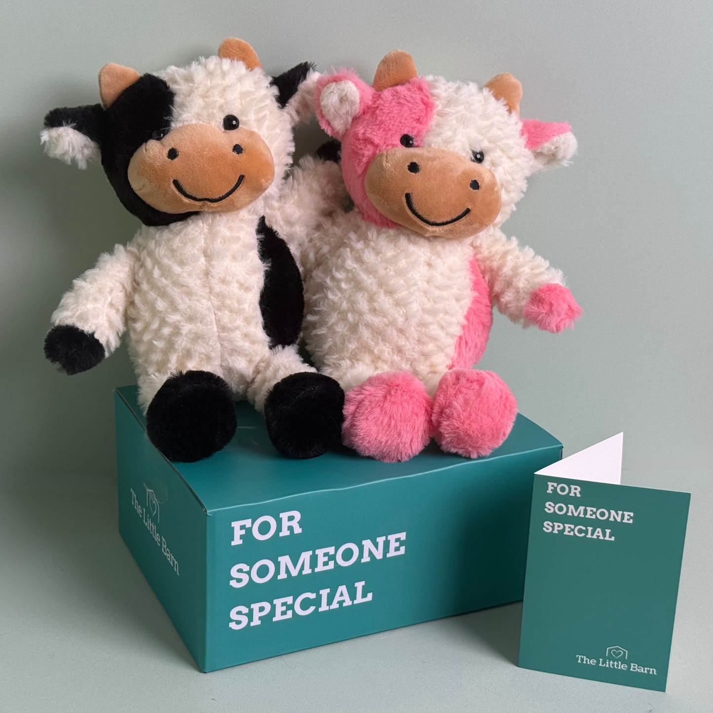 Molly and Charlie – The Meadow Friends Bundle