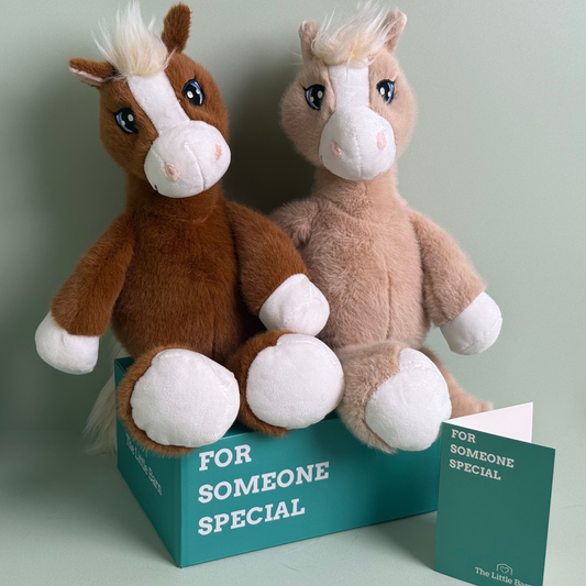 Rosie and Rusty – The Galloping Siblings Bundle